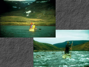 Baffin Poler