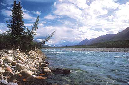 Bonaventure River