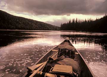 Maine canoe