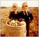 Maine Potatoes